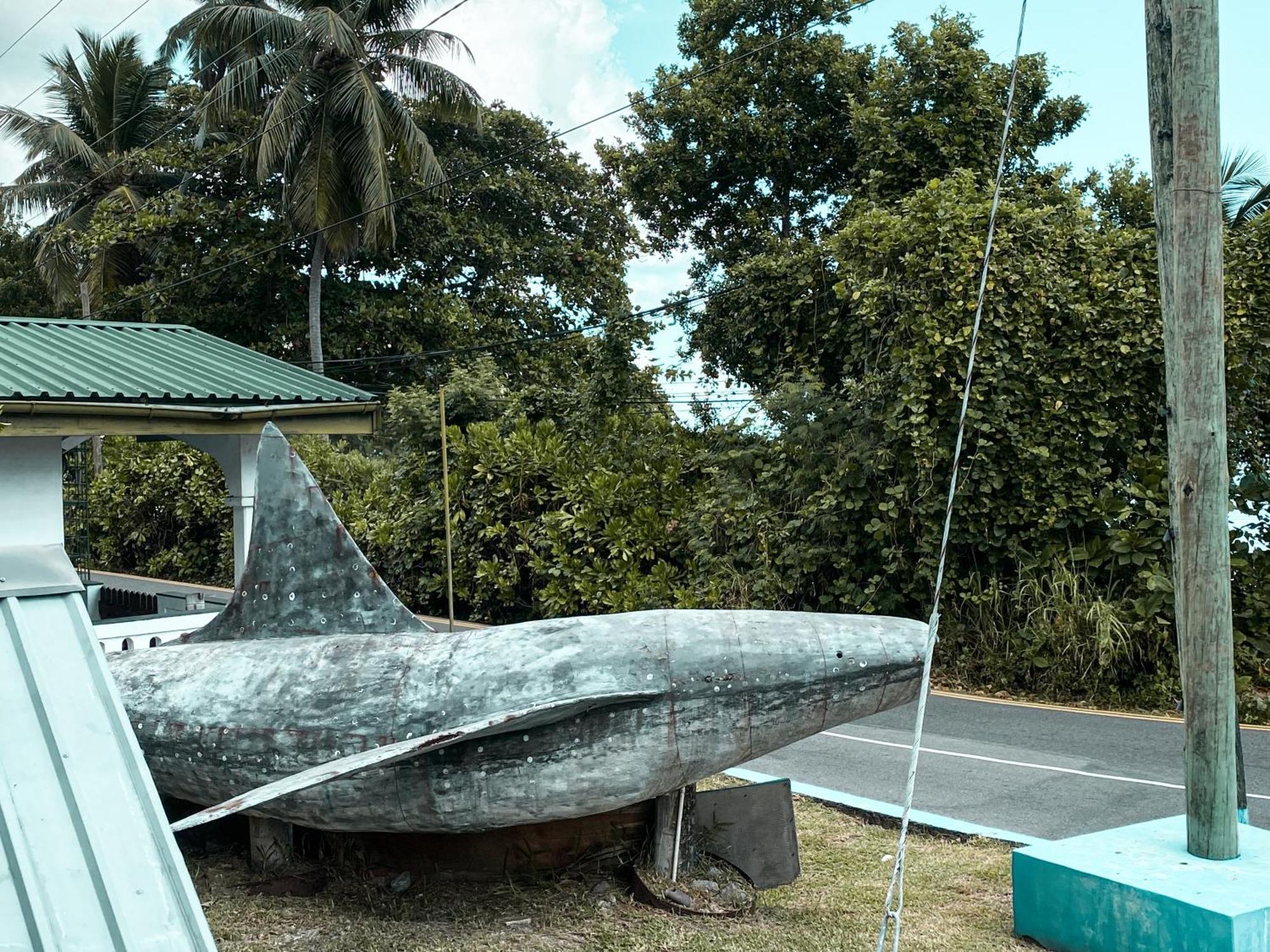 Divers Lodge Guest House Beau Vallon  Exteriér fotografie